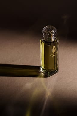 L'extrait De Spoturno 1921