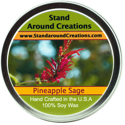Pineapple / Sage Tin 8-oz.