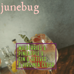 Junebug
