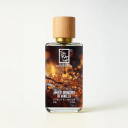 Amber Drenched In Vanilla
