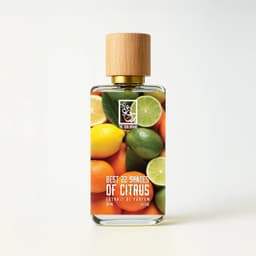 Best 22 Shades Of Citrus