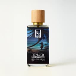 The Pirate Of Caribbean Waters