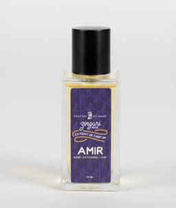 The Amir