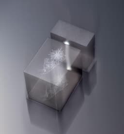 Absent Presence