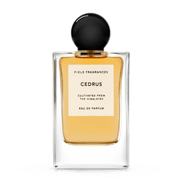 Cedrus
