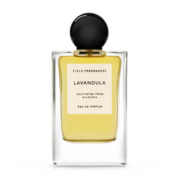 Lavandula