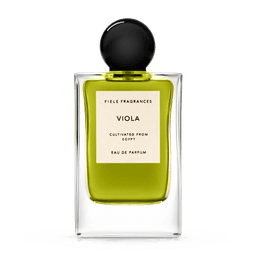 Viola