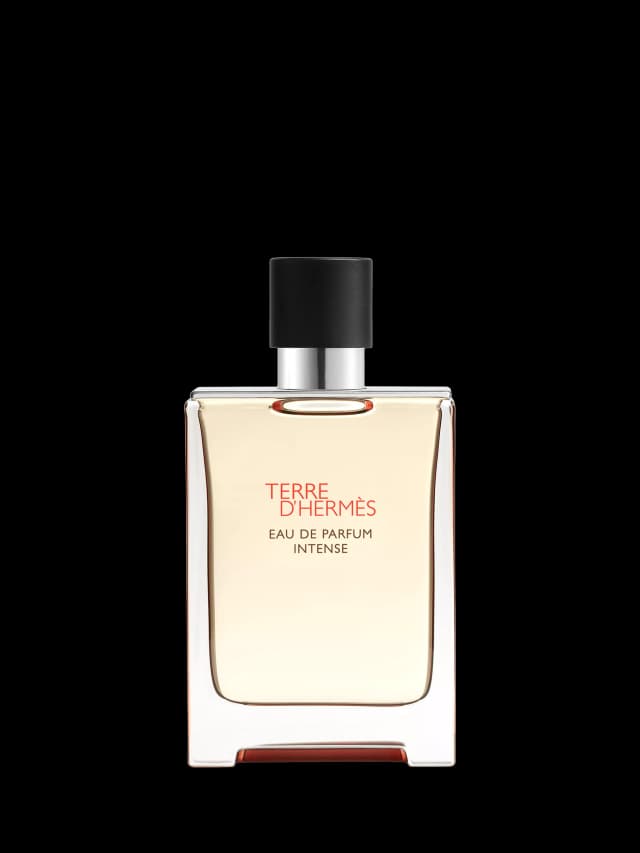 Hermès Terre d'Hermès Eau de Parfum Intense